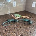 R146 Lizard Figurines Grouping