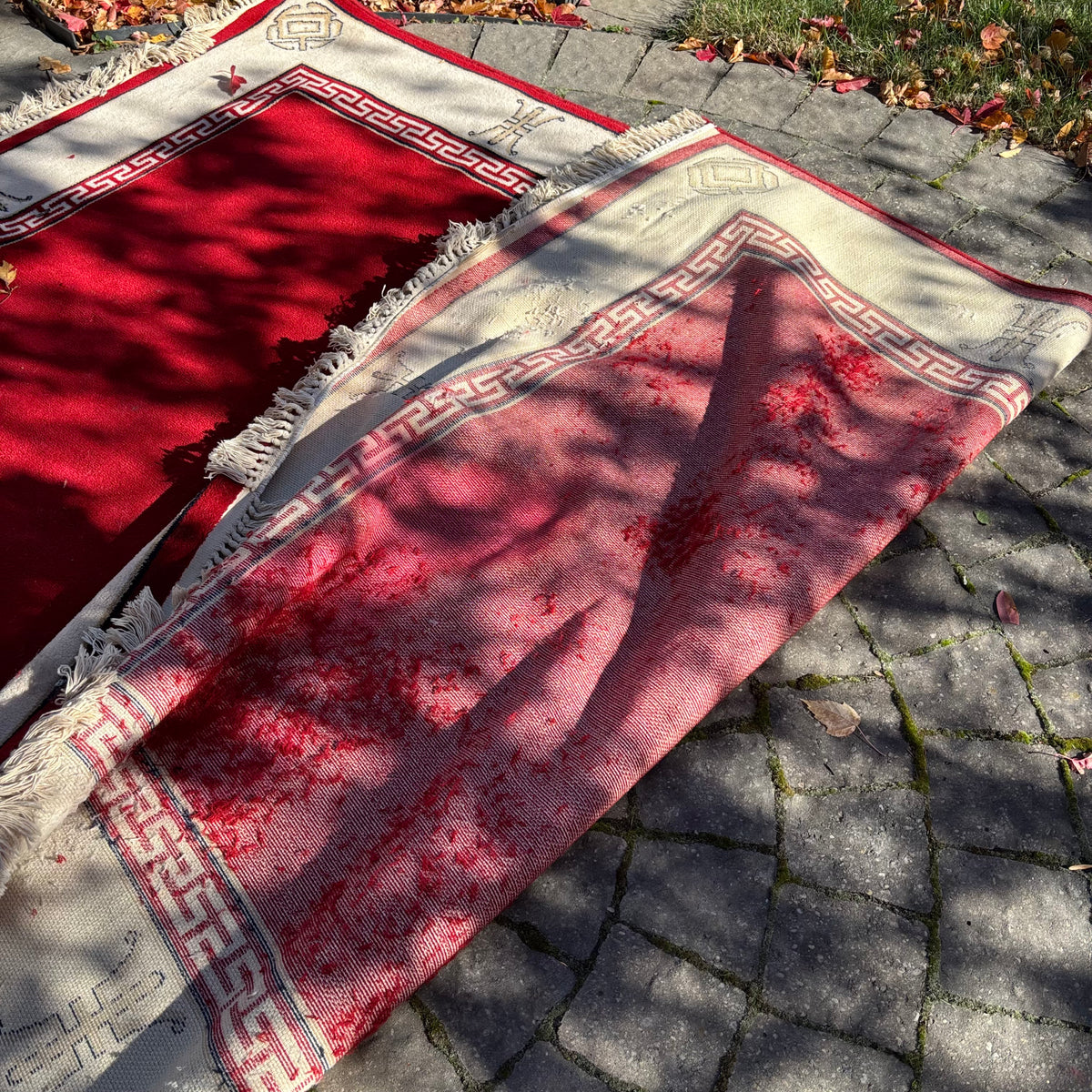 R155 Vintage large wool red and white area rug (8' x 66")