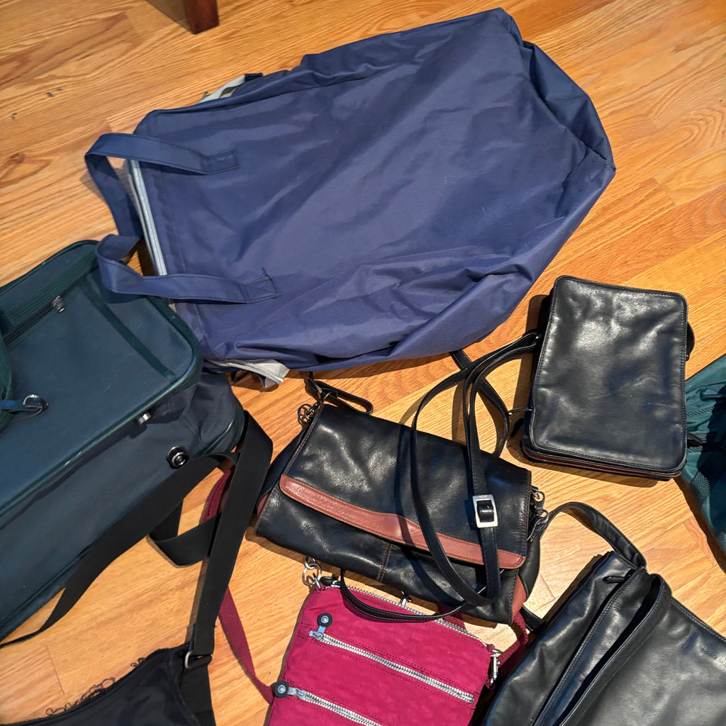 R174 Purse and Bag Grouping