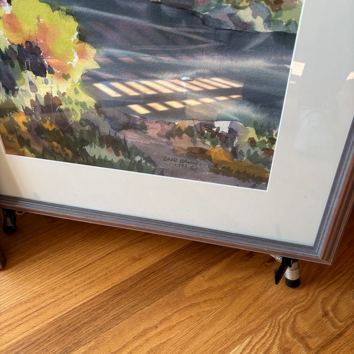 R187 Set of 2 framed nature watercolour prints