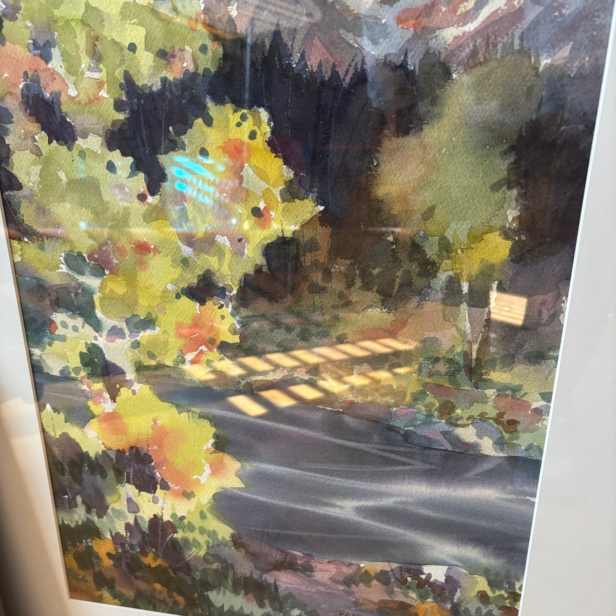 R187 Set of 2 framed nature watercolour prints