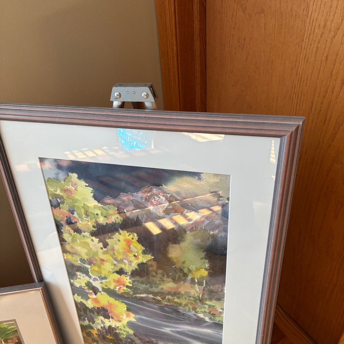 R187 Set of 2 framed nature watercolour prints