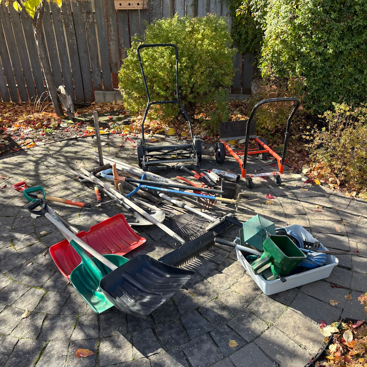 R197 Yard Grouping (push mower and more)