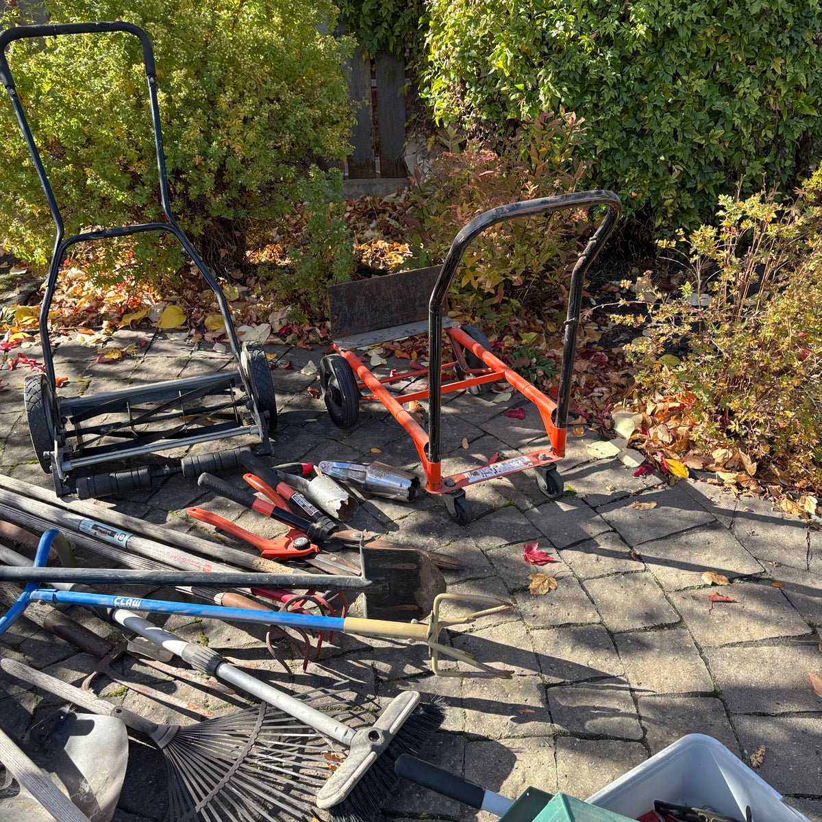R197 Yard Grouping (push mower and more)