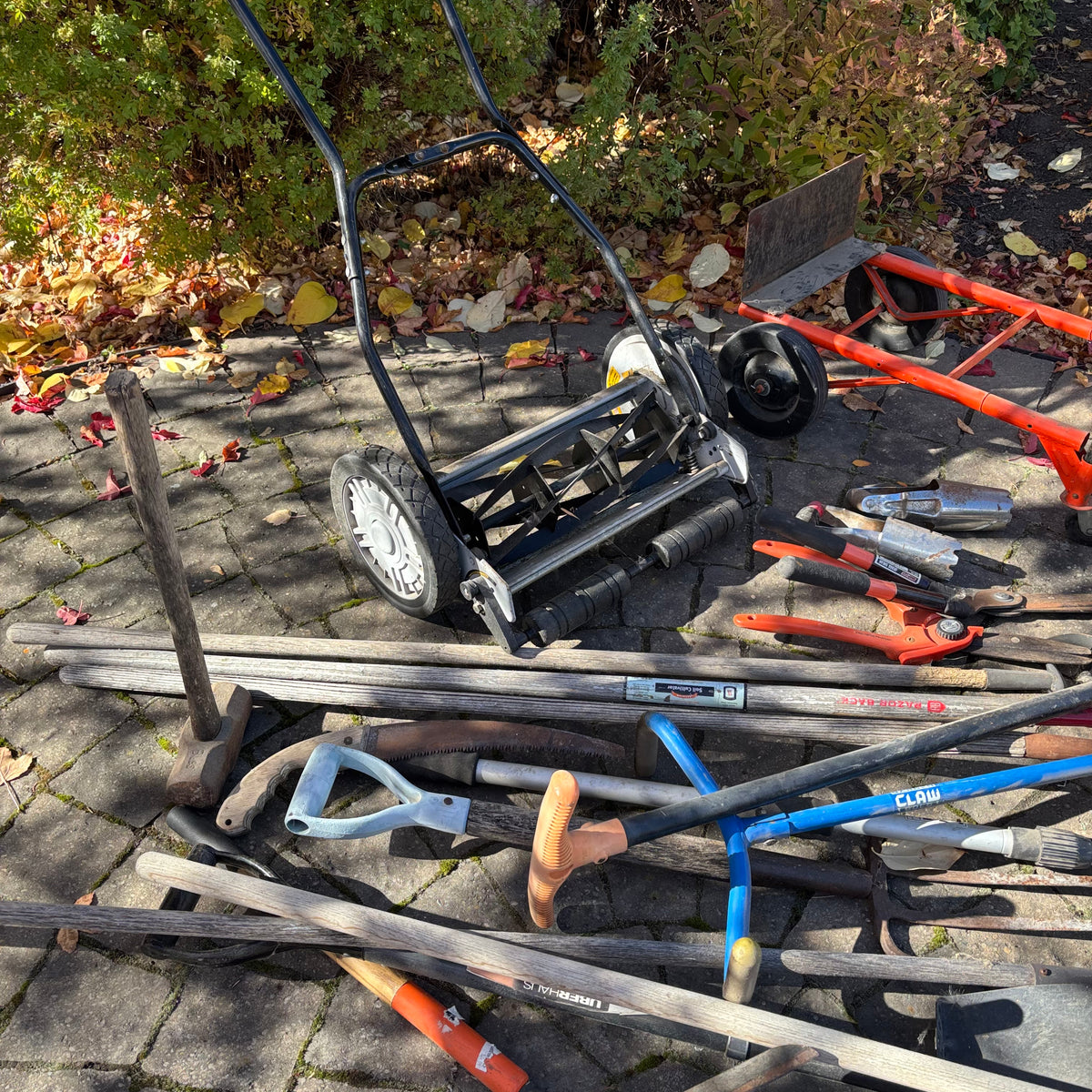 R197 Yard Grouping (push mower and more)