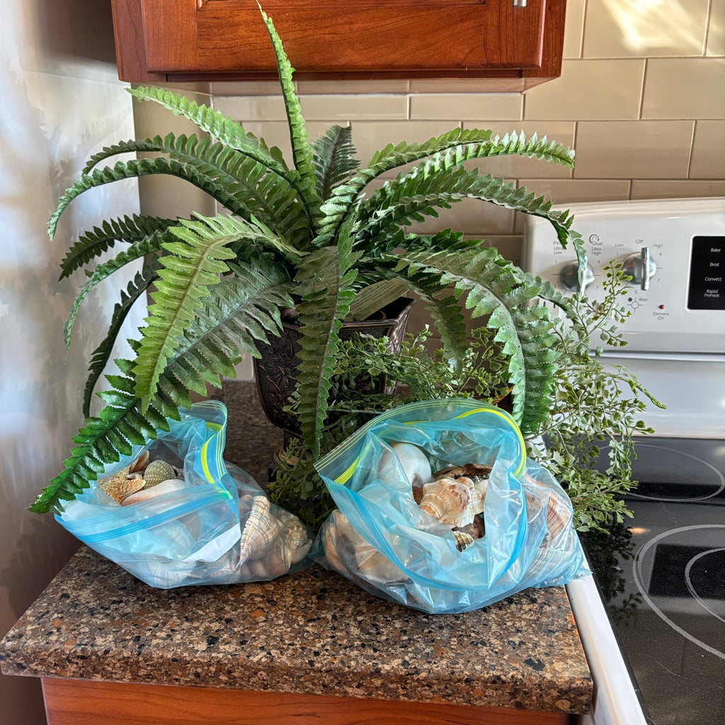 R309 Faux Fern and Seashell Grouping