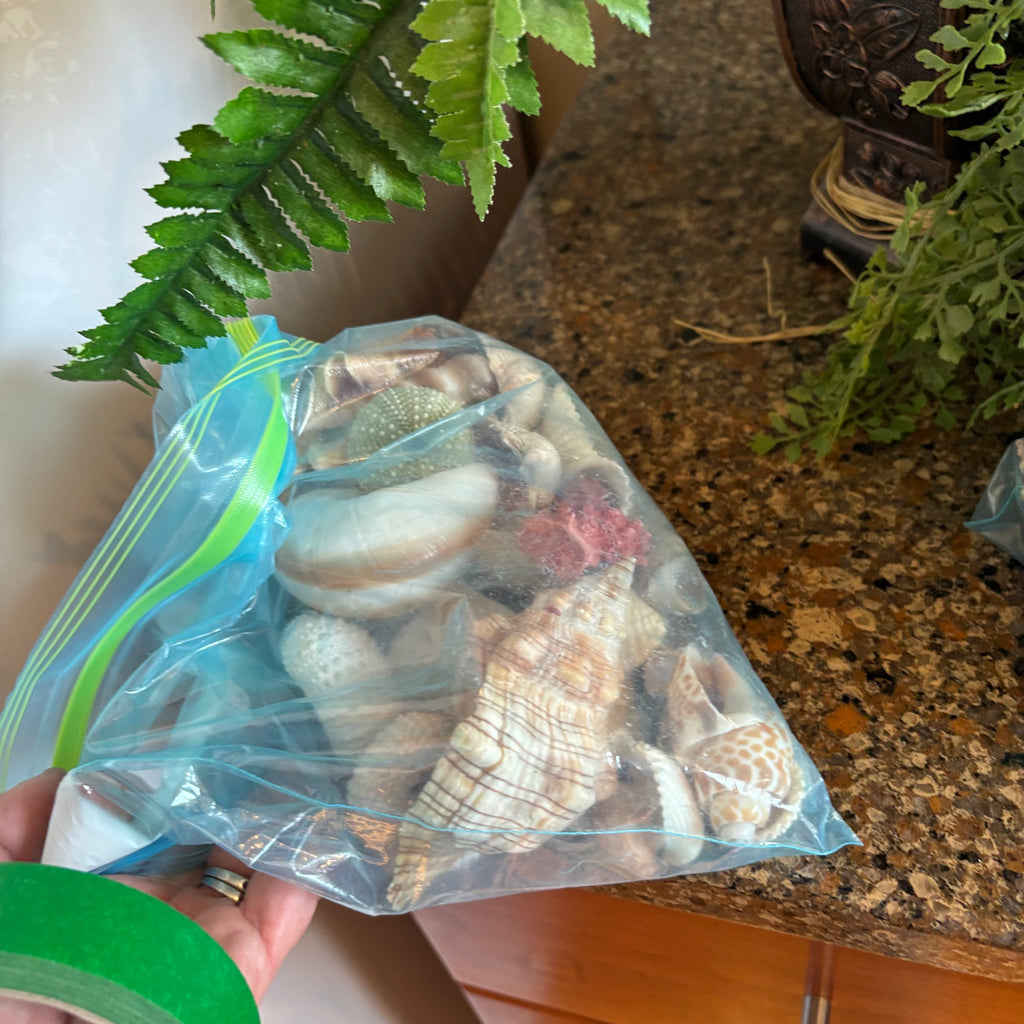 R309 Faux Fern and Seashell Grouping