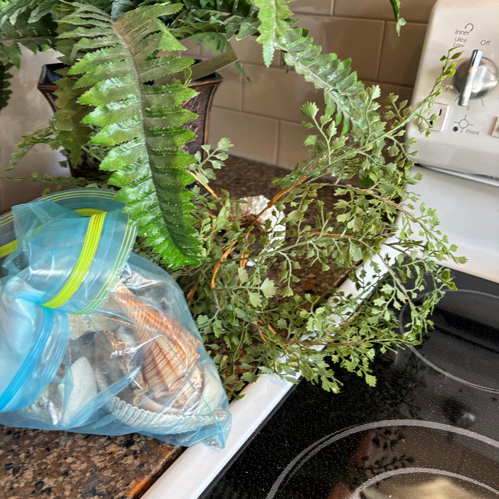 R309 Faux Fern and Seashell Grouping