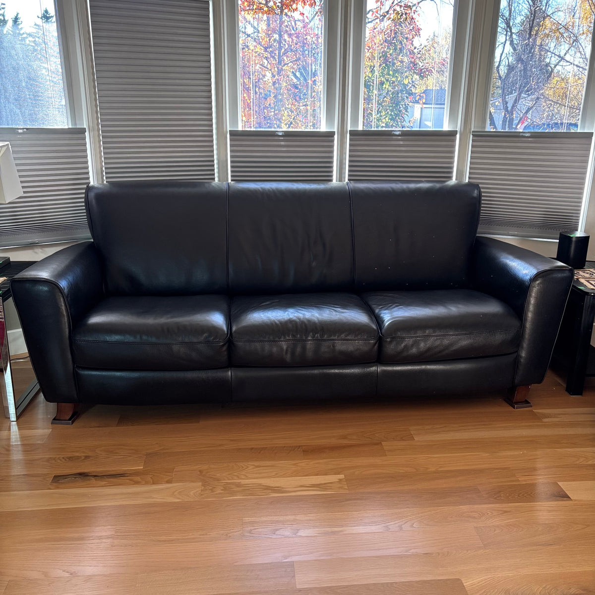D103 Natuzzi Editions black leather couch