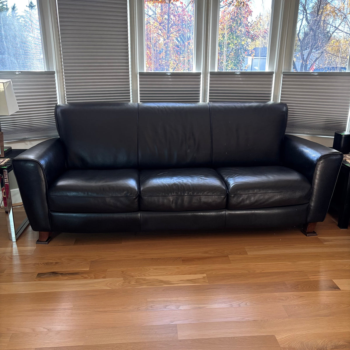 D103 Natuzzi Editions black leather couch