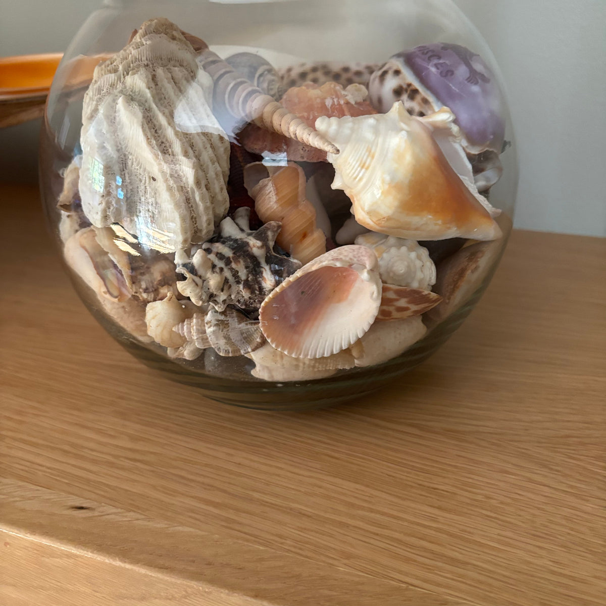 D104 Home Decor Grouping (Shells and Glass shell dish)