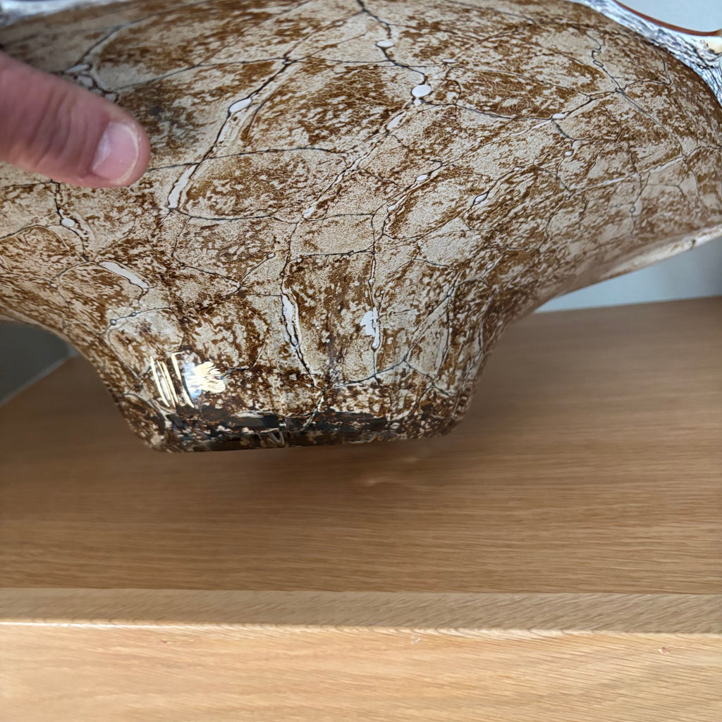 D104 Home Decor Grouping (Shells and Glass shell dish)