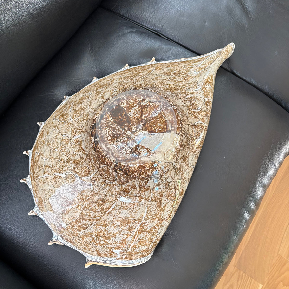 D104 Home Decor Grouping (Shells and Glass shell dish)