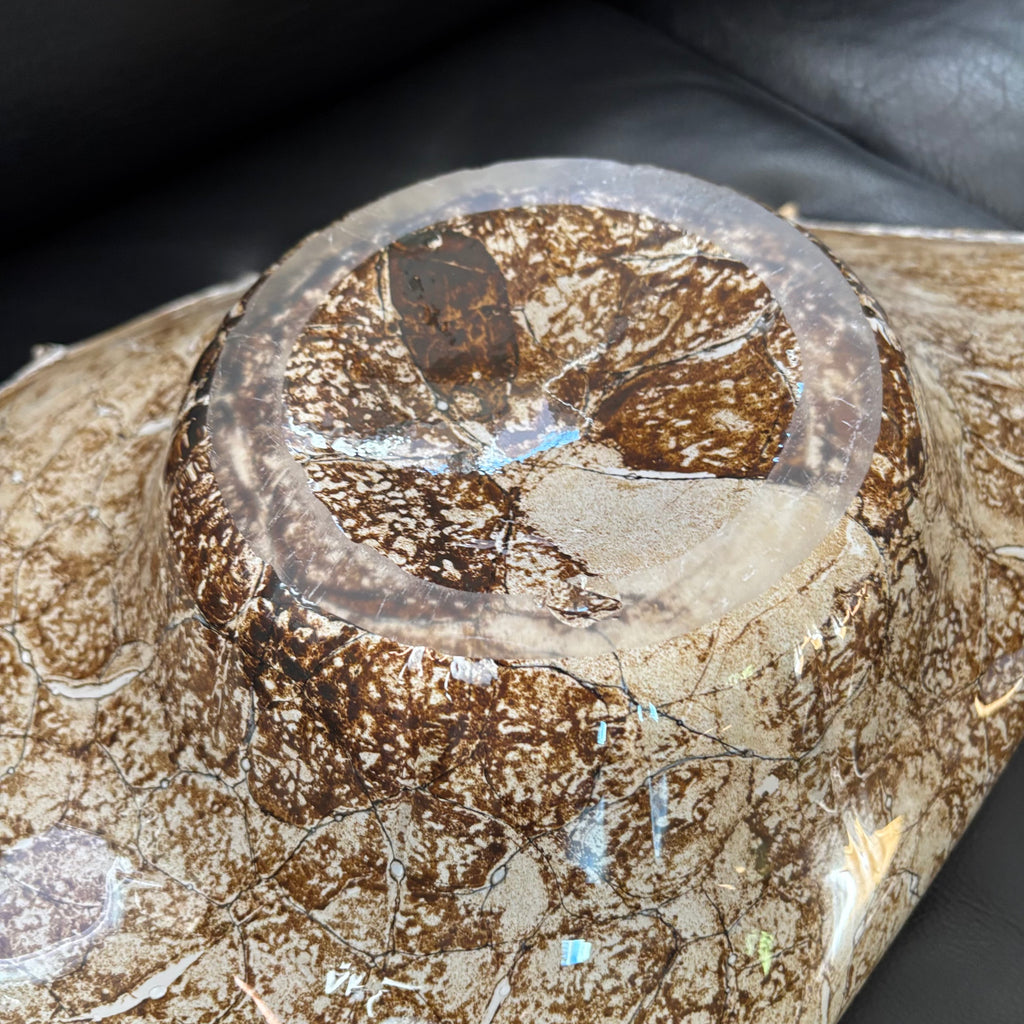 D104 Home Decor Grouping (Shells and Glass shell dish)