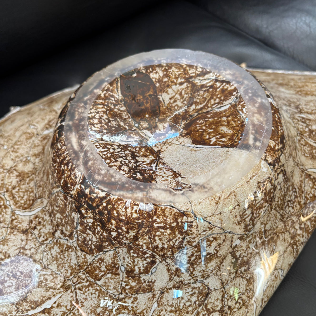 D104 Home Decor Grouping (Shells and Glass shell dish)