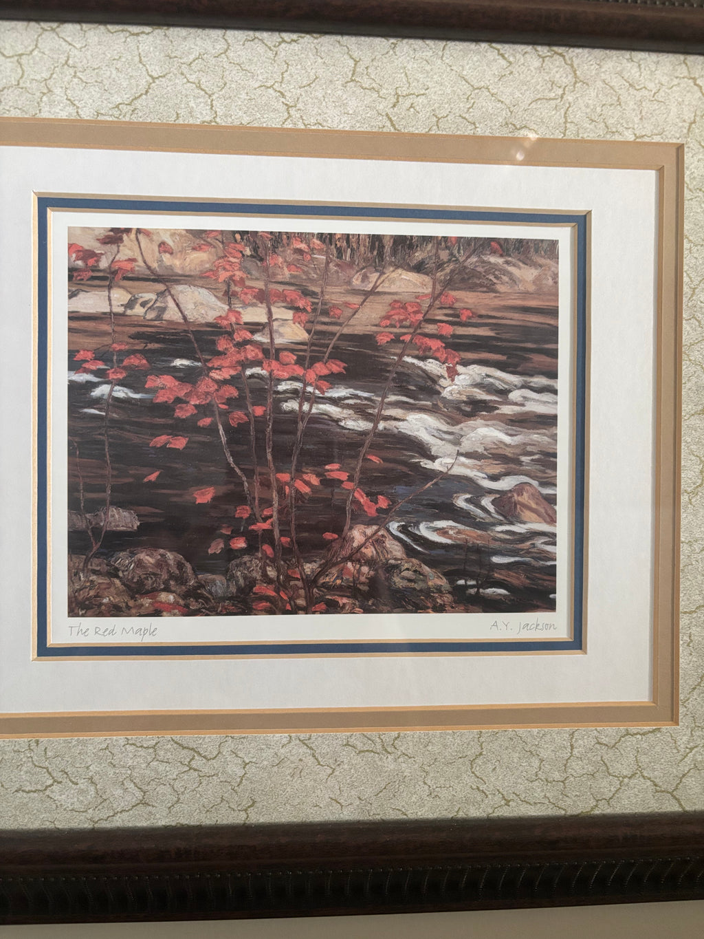 D116 Set of 3 framed prints
