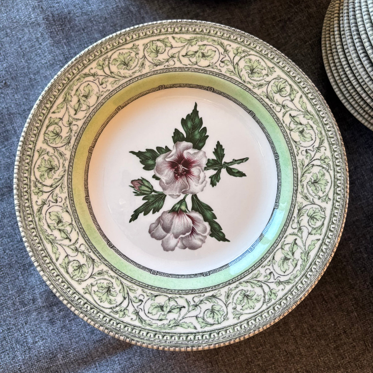 D118 China Grouping (The Royal Horticultural Society Applebee Collection)