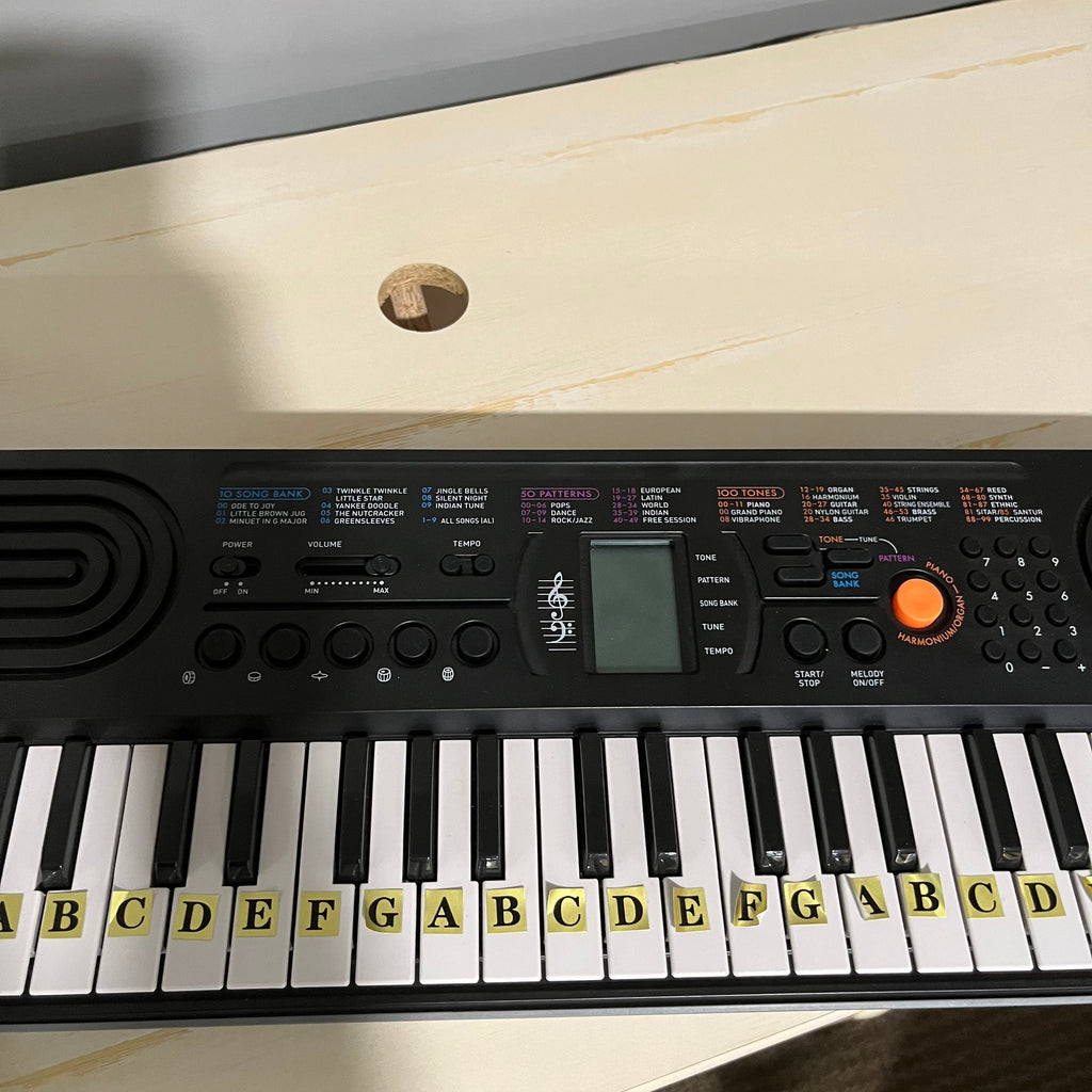D351 Electronics Grouping( Sirius XM docking station and Casio keyboard)