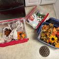 D356 Fall decor grouping