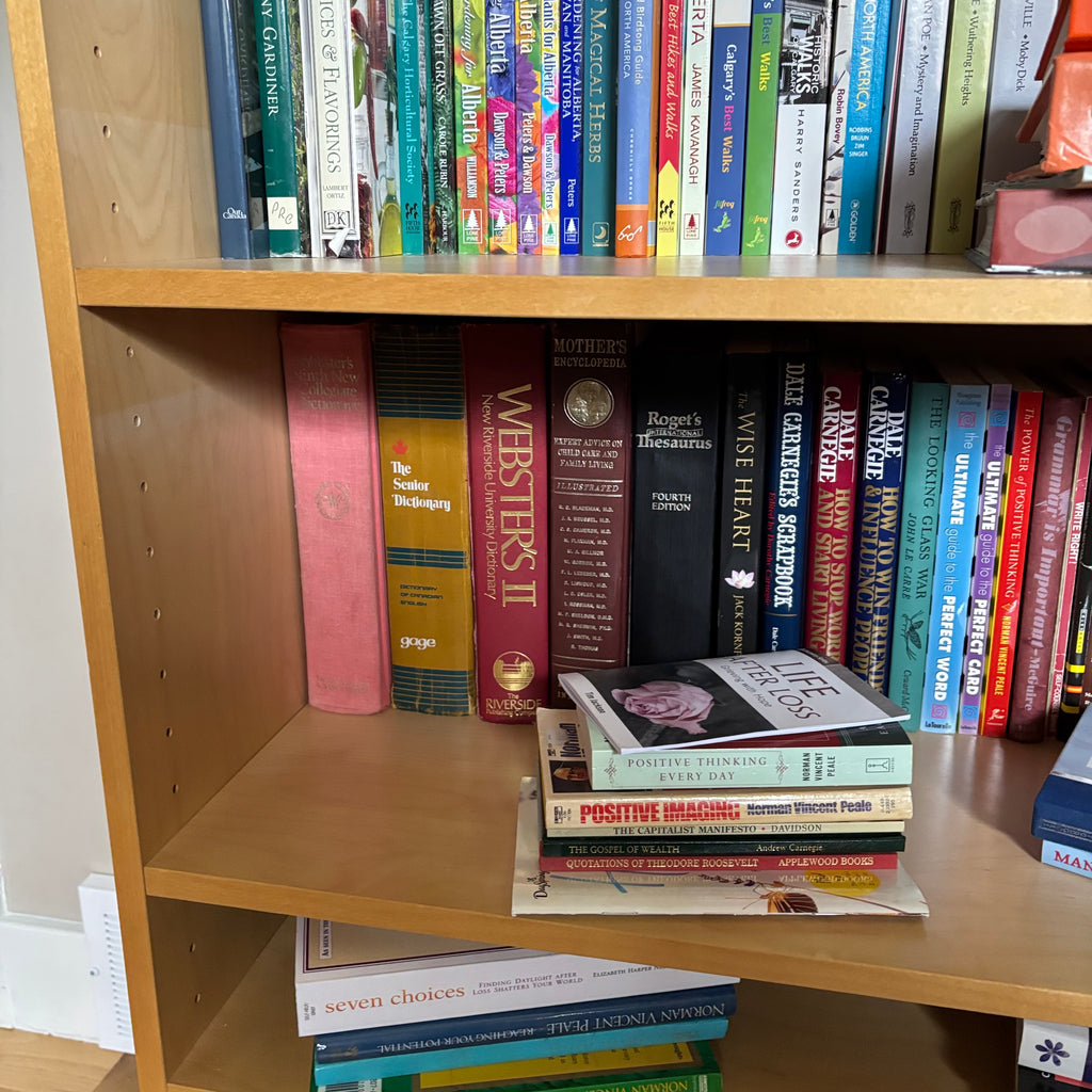 D187 Book Grouping (shelf not included)