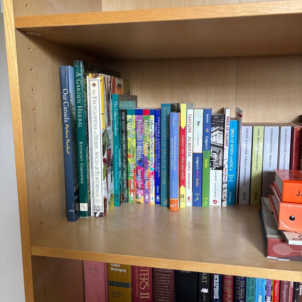 D187 Book Grouping (shelf not included)