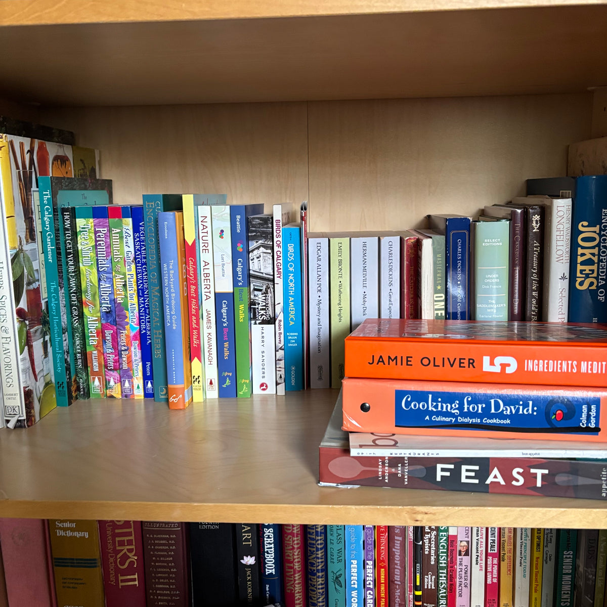 D187 Book Grouping (shelf not included)
