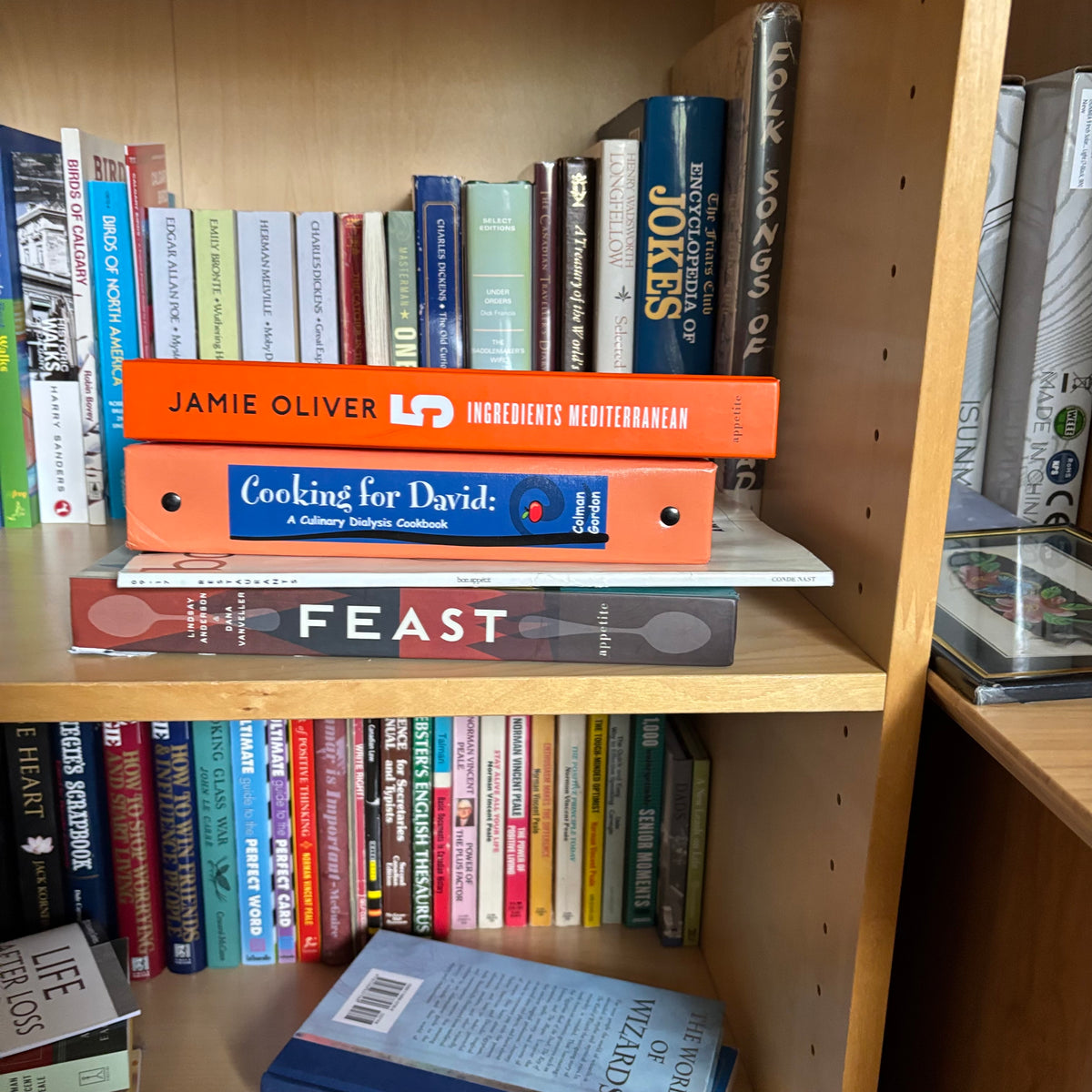 D187 Book Grouping (shelf not included)