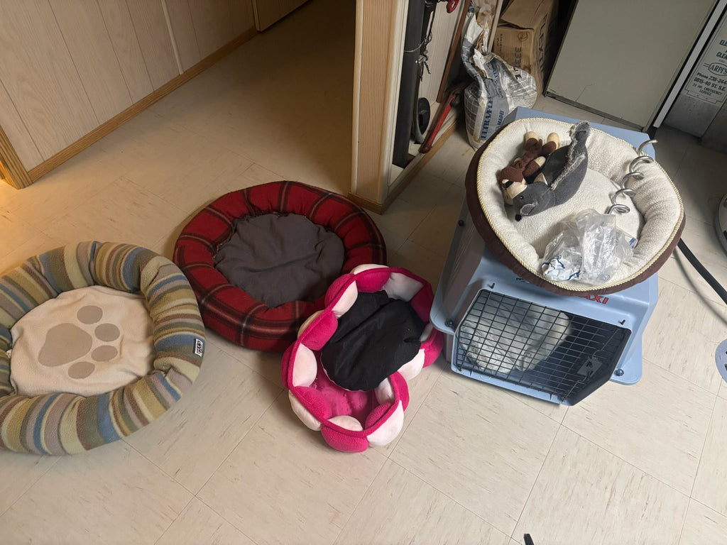 K523B Pet grouping (cat/small dog size kennel)
