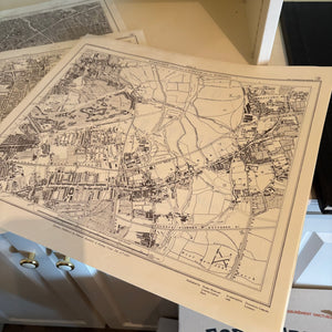 VINTAGE BOOKS AND MAPS GROUPING - P238