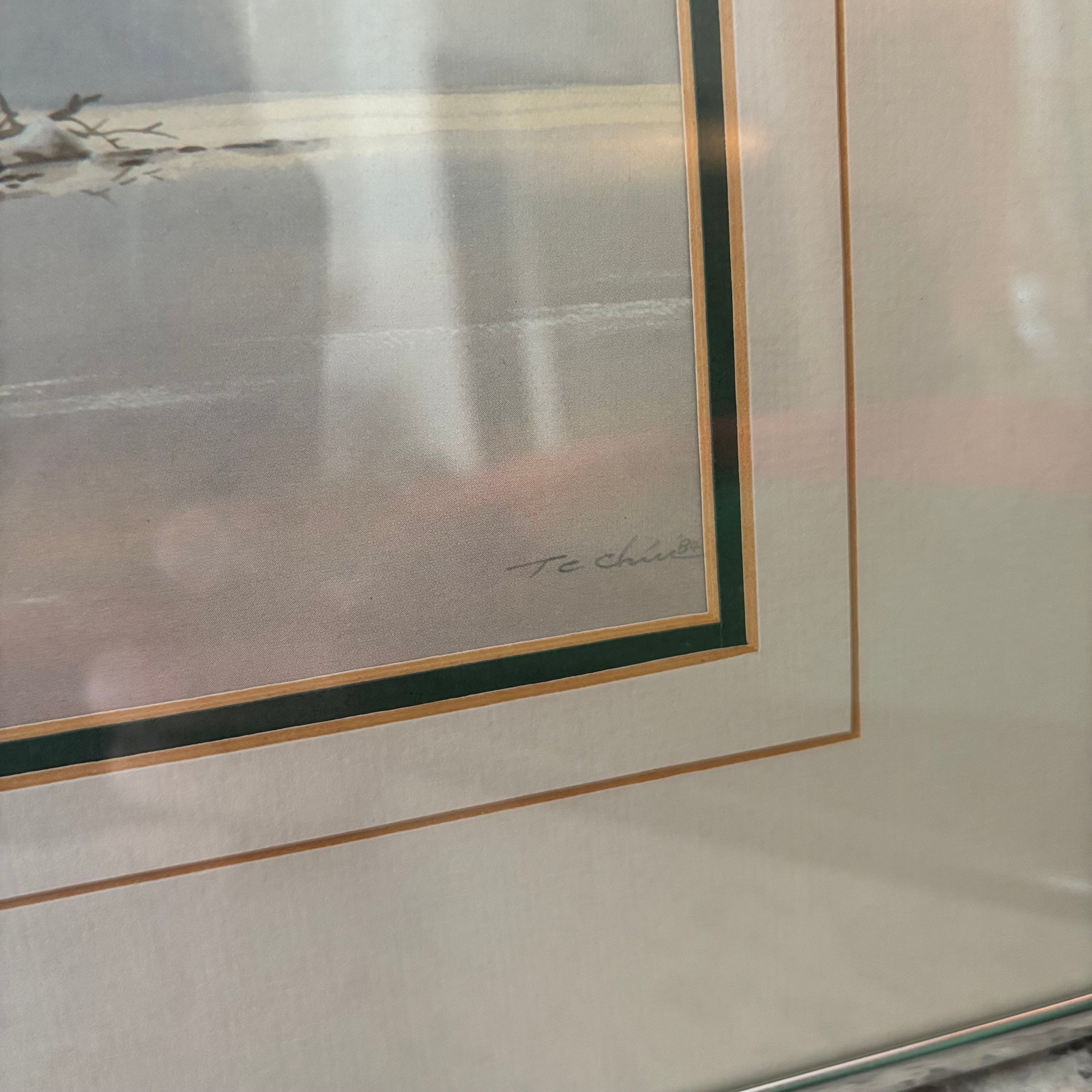 E896 Set of 2 13” x 11” Framed watercolours