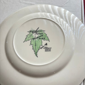 VINTAGE COLLECTIBLES GROUPING (RCMP PLATE AND MORE) - P182