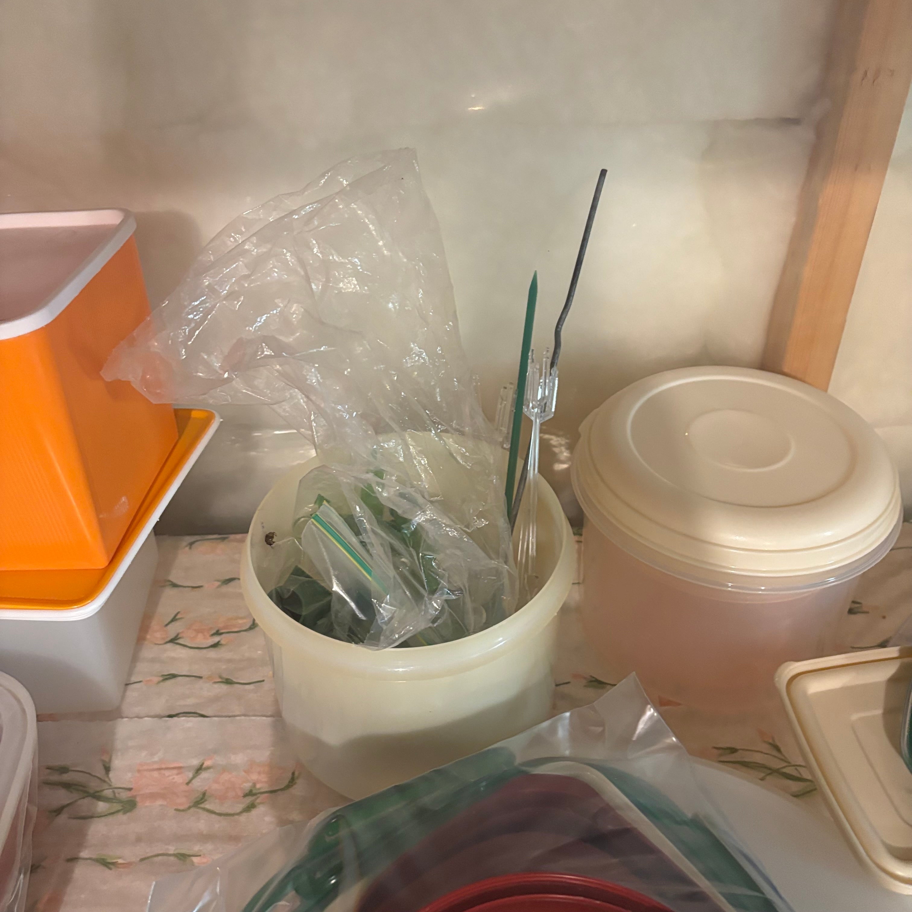 E849 Tupperware and more grouping