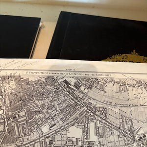 VINTAGE BOOKS AND MAPS GROUPING - P238