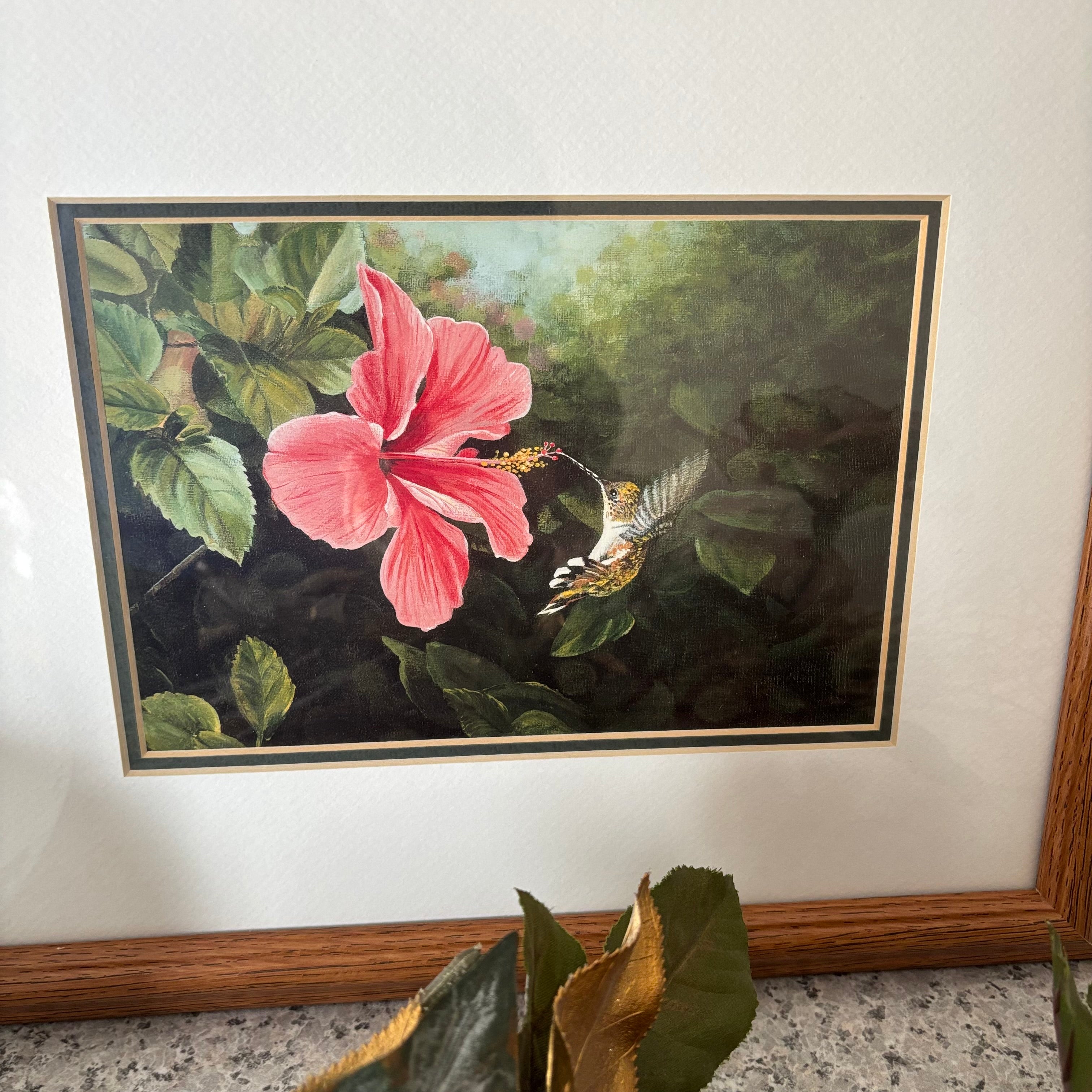 E894 Framed hummingbird artwork grouping