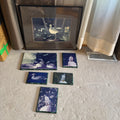 Y163 Vintage bird artwork grouping