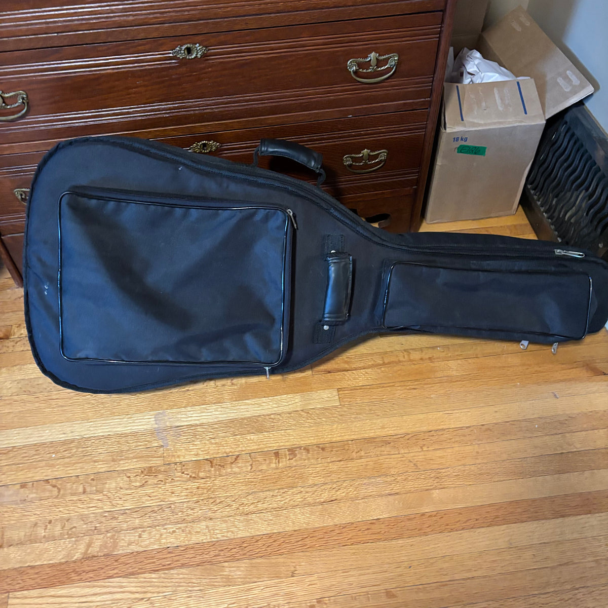 E132 As is guitar with case