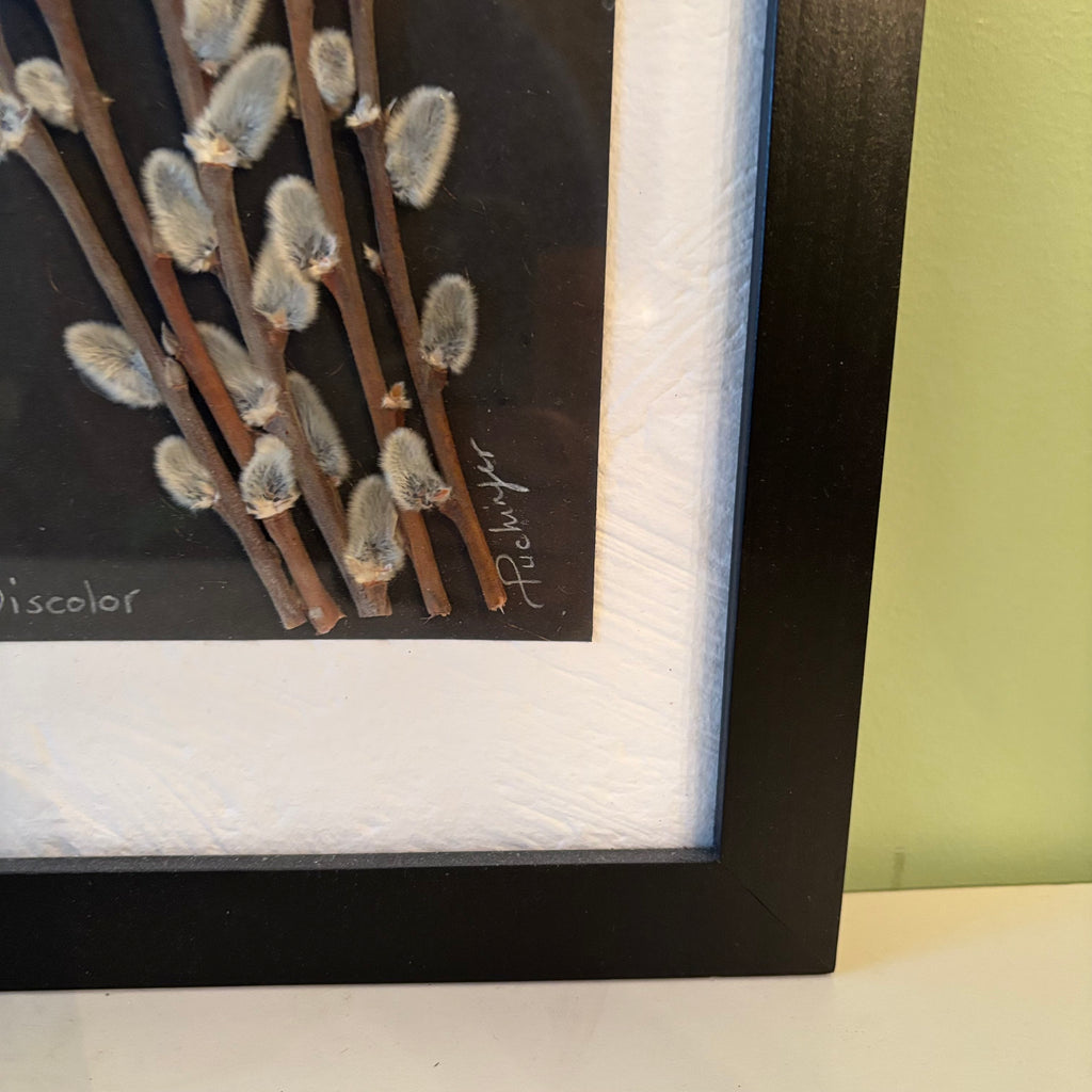 W810 9” x 26” Pressed Wishes