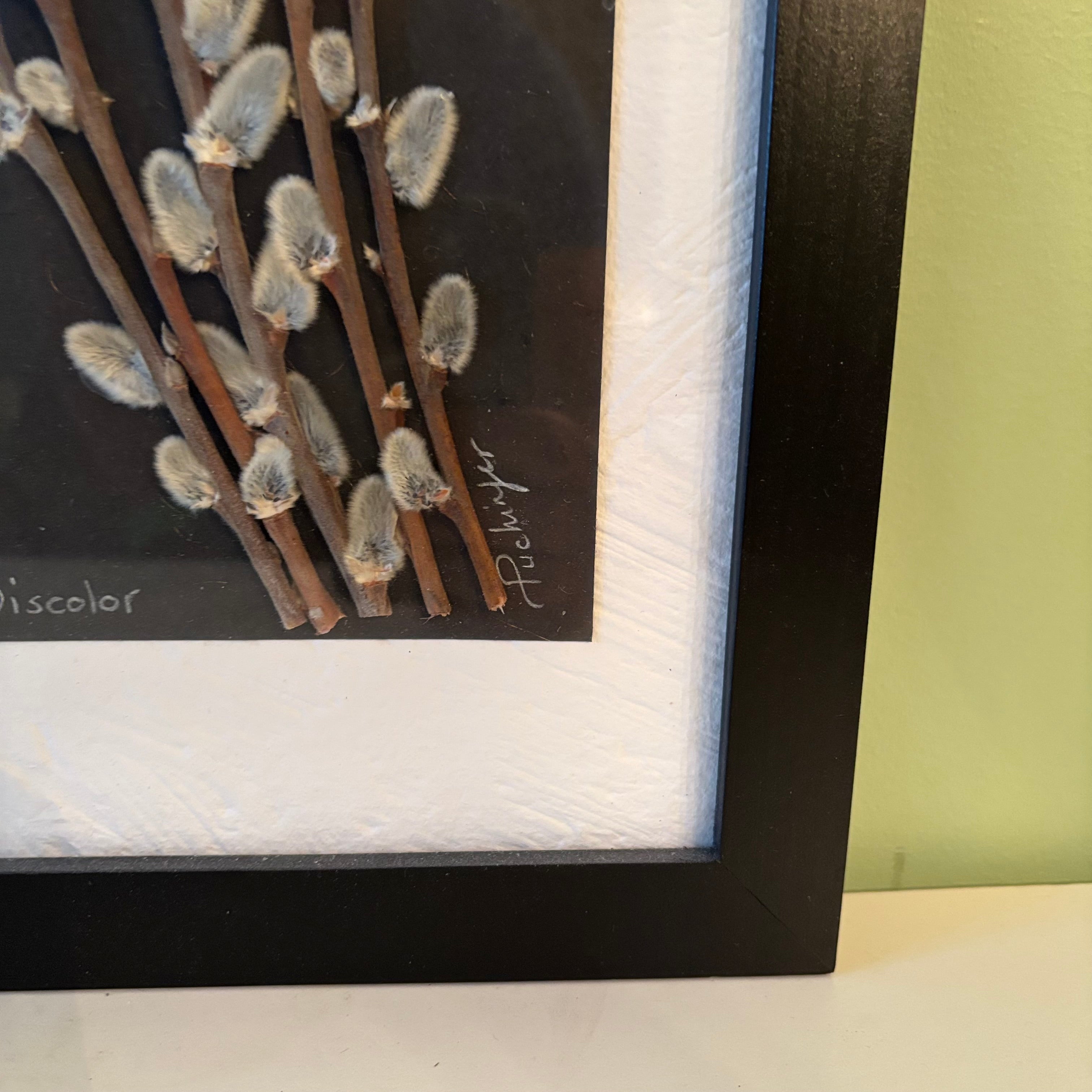 W810 9” x 26” Pressed Wishes