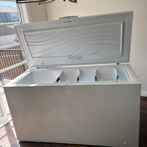 Chest Freezer - R501