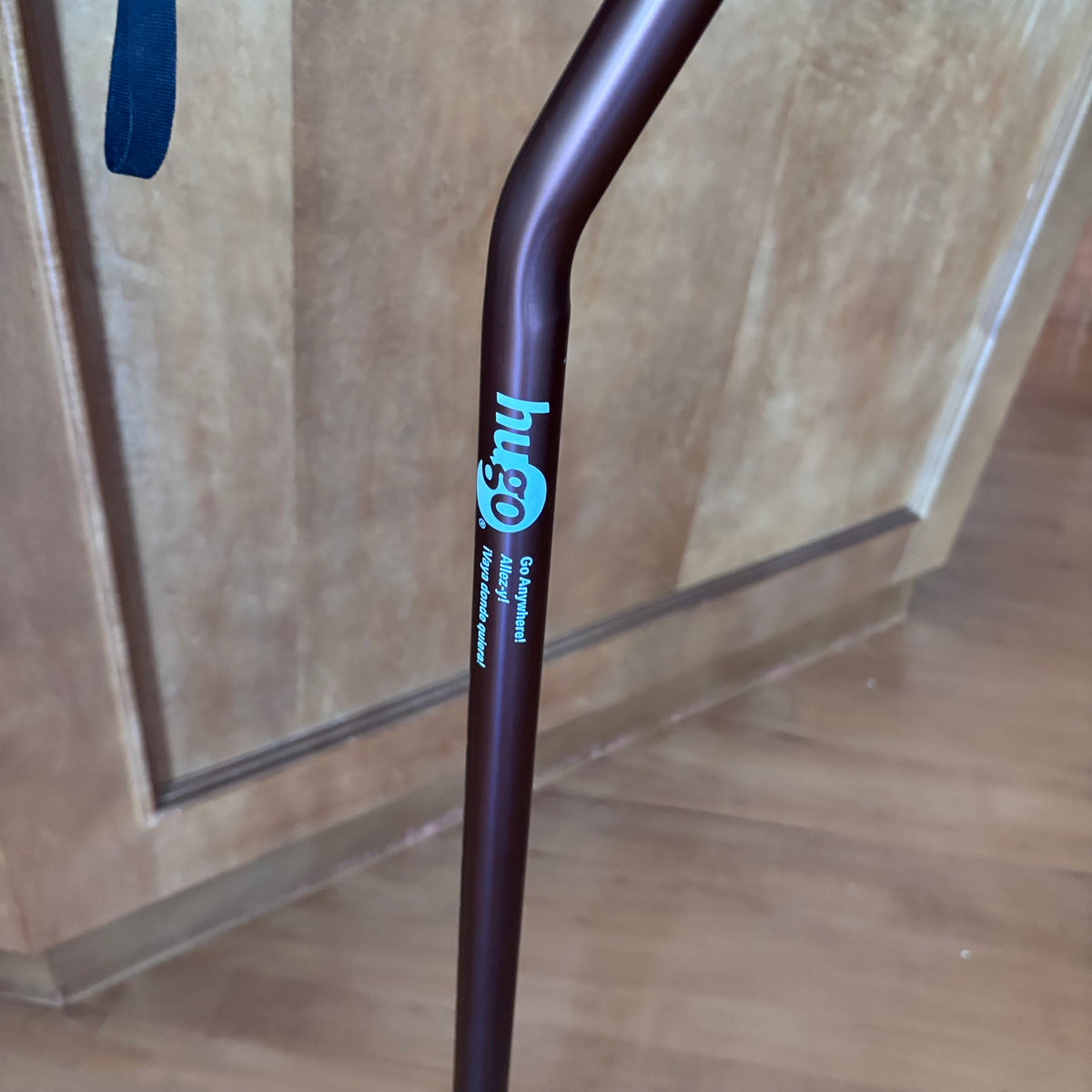 X255 Walking cane