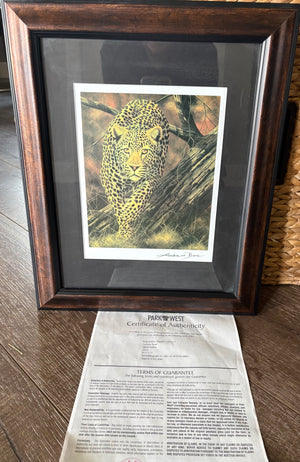 13 1/2" X 17" framed Andrew Bone Cougar Print  - S651