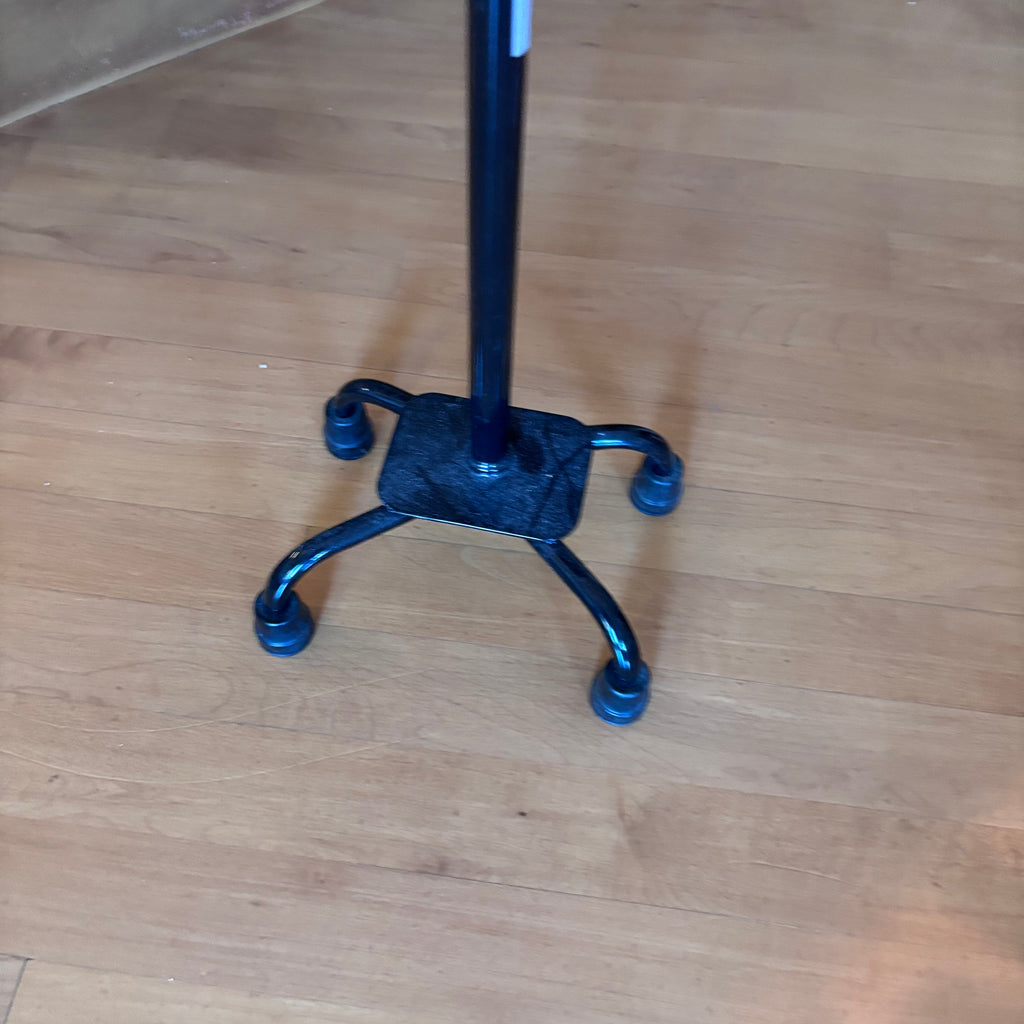 X255 Walking cane