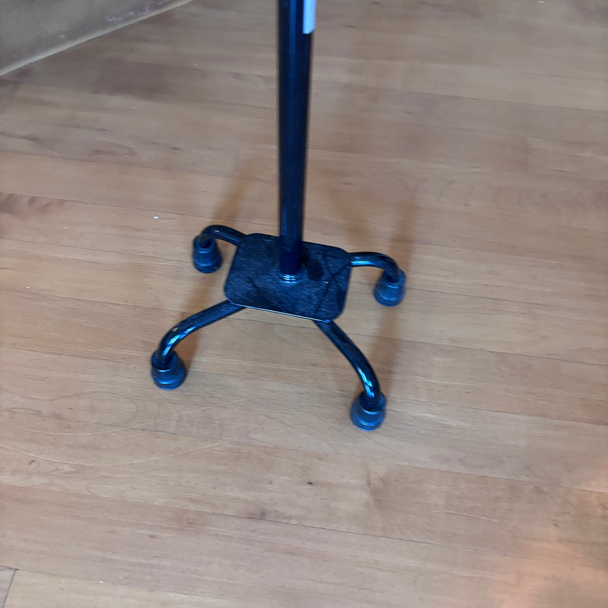 X255 Walking cane