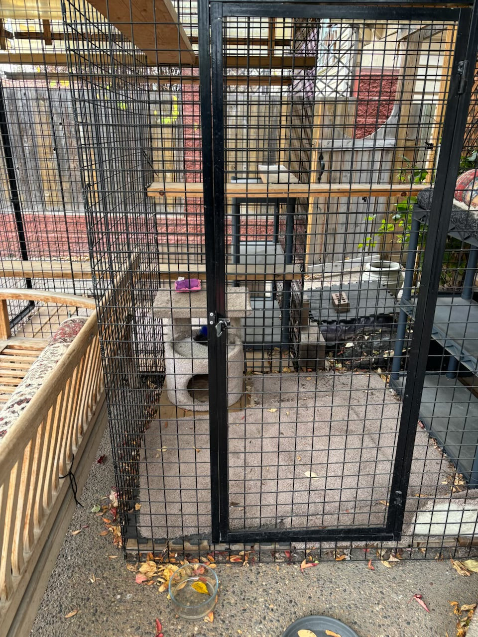 R1000 Custom built outdoor “catio”