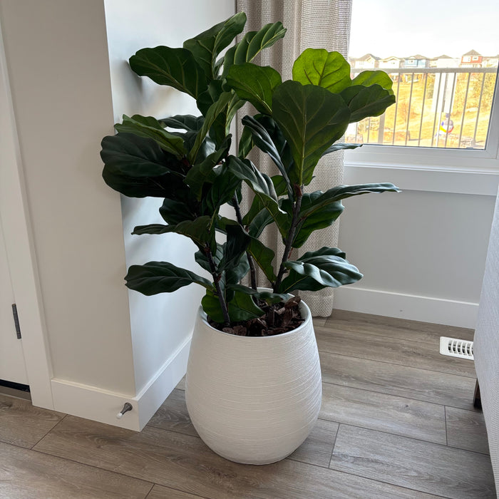 42” Tall Faux Plant in White Stoneware Pot - G300