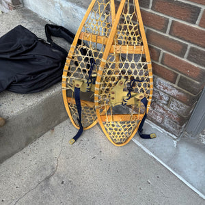 Snowshoes, Golf Bag, 2 Bats and Ski Poles - M377