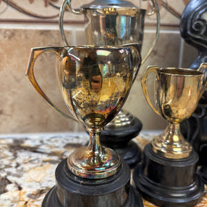 Vintage Grouping (Military Trophies and More) - M340