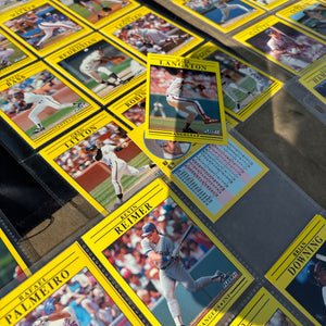 Flags and 1990s Baseball Cards - R393