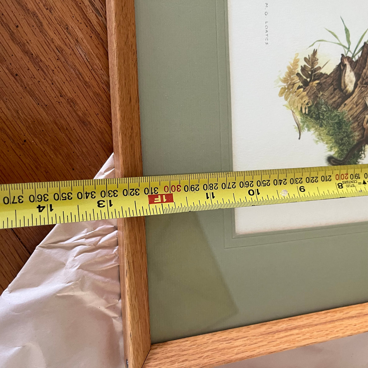 B329 Vintage grouping (framed prints and more)