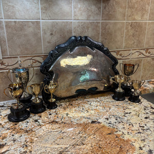 Vintage Grouping (Military Trophies and More) - M340